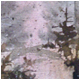 Wooded Path
