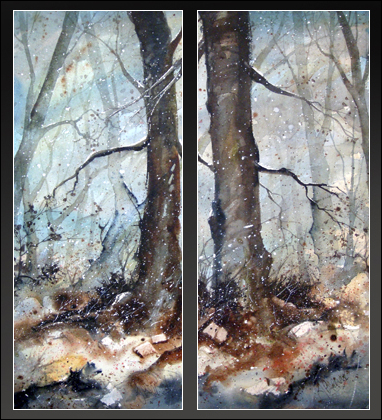 Winter Forest