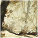 watercolour