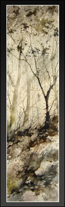 The Wonder of Wildness