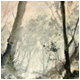 Tranquil Forest