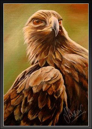 Golden eagle